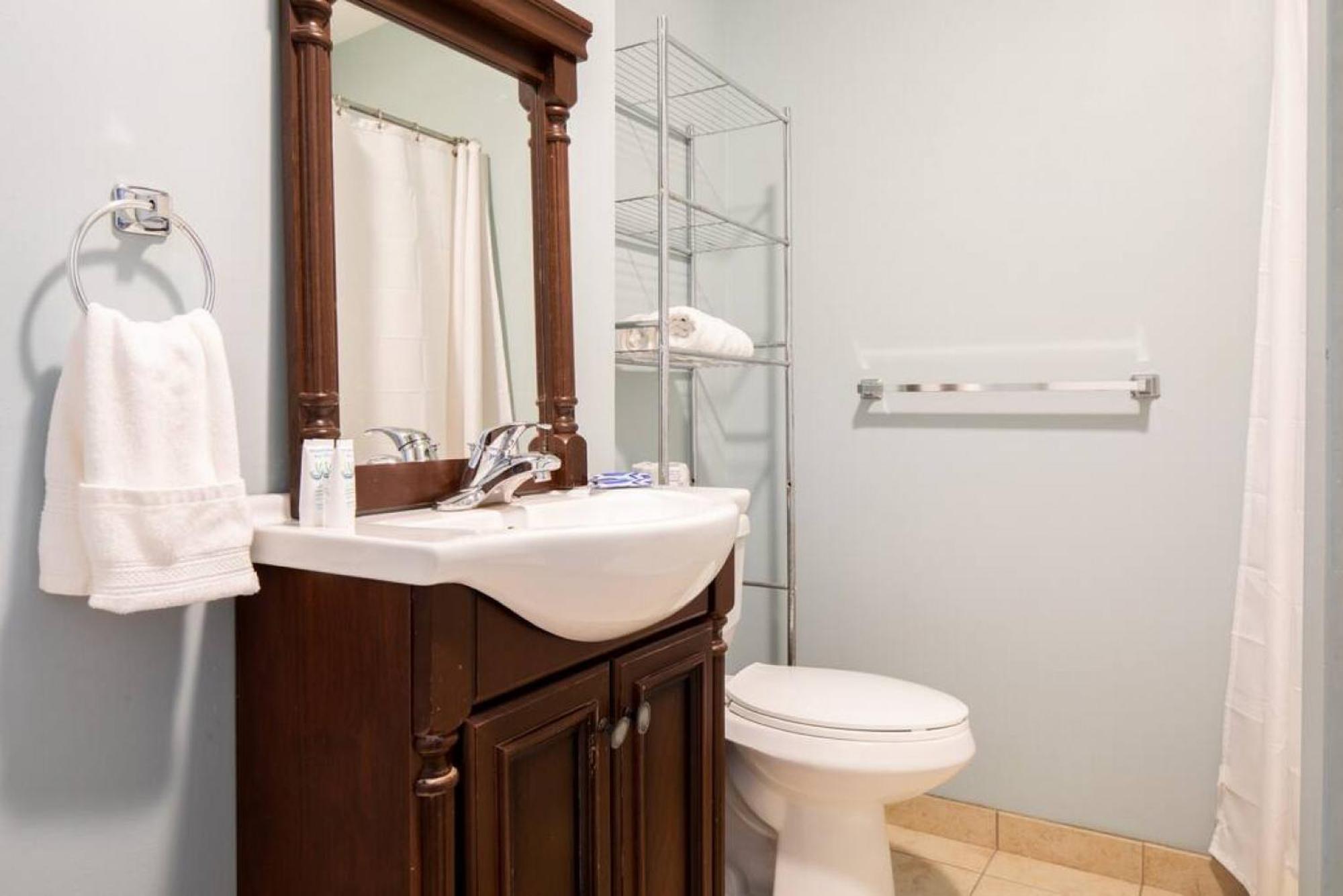 Large Ceilings Centrally Located 4bed 2bath Apartment Boston